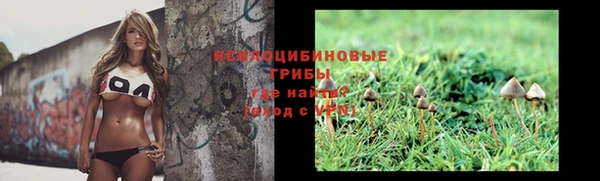 тгк Семёнов