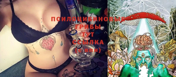тгк Семёнов