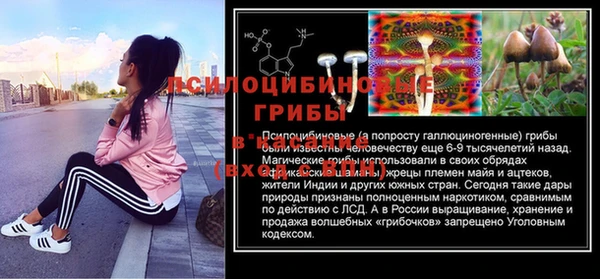 эйфоретик Семилуки