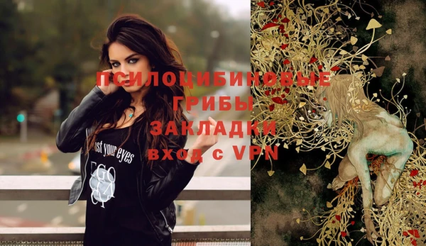 хмурый Сатка