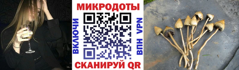 цена наркотик  Судогда  Псилоцибиновые грибы ЛСД 